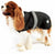 Danish Design 2 in 1 Waterproof Breathable Dog Coat